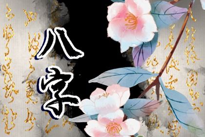 藏干与地支藏气